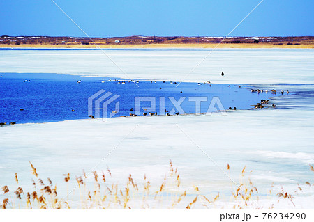氷が解け始め湖面が広がる小清水町から見た春の濤沸湖　北海道 76234290
