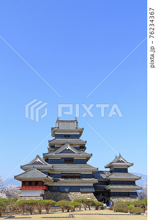 桜咲く春の国宝松本城 76234367