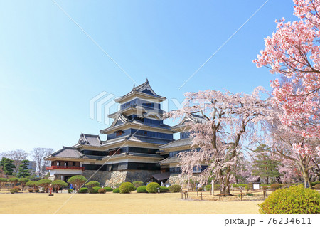 桜咲く春の国宝松本城 76234611