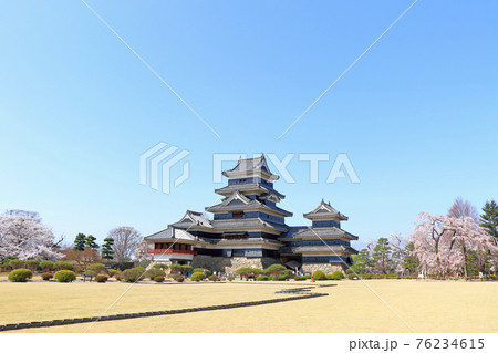 桜咲く春の国宝松本城 桜咲く春の国宝松本城 76234615