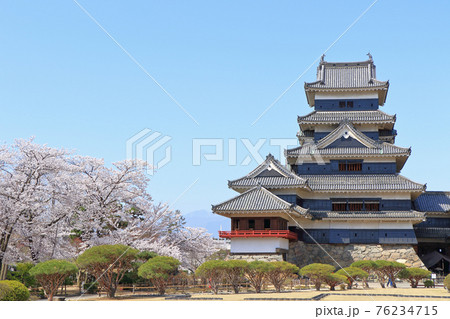 桜咲く春の国宝松本城 桜咲く春の国宝松本城 76234715
