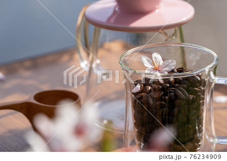 お花見珈琲 アウトドアコーヒー 桜 お花見珈琲 アウトドアコーヒー 桜 76234909