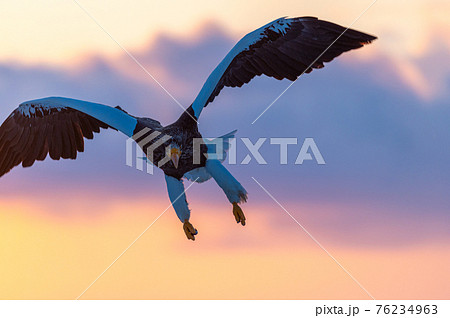 知床　冬 76234963