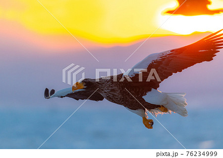 知床 冬 知床 冬 76234999