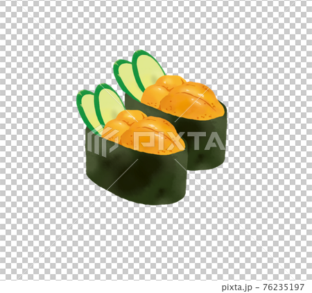 リアルで美味しそうなうにのお寿司のイラストレーション 76235197