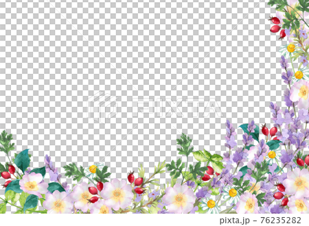 ハーブガーデンのフレーム 水彩イラストのイラスト素材 ハーブガーデンのフレーム 水彩イラストのイラスト素材