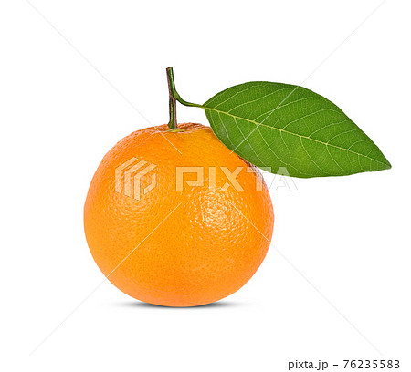 Orange fruit isolated on white background Orange fruit isolated on white background 76235583