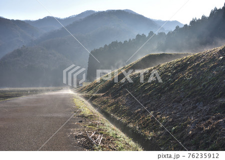 農道に立ち込める朝もやの風景 農道に立ち込める朝もやの風景 76235912