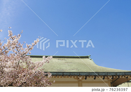 難波大社　生國魂神社（生玉神社・いくたまさん）　【大阪市天王寺区2021年　春】 76236397