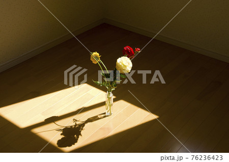 部屋の床に花瓶に入った花が置いてあります。 部屋の床に花瓶に入った花が置いてあります。 76236423