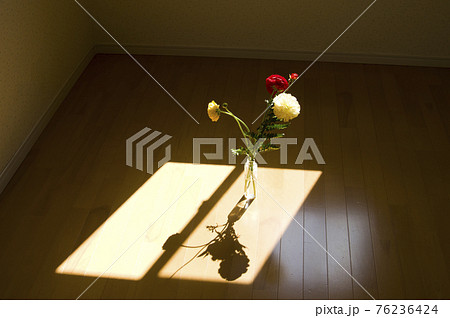 部屋の床に花瓶に入った花が置いてあります。 76236424