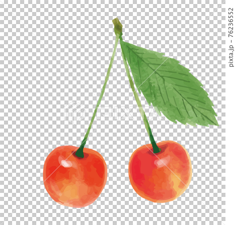 さくらんぼ サクランボ チェリー アイコン ふたつ 葉 手描き イラストのイラスト素材