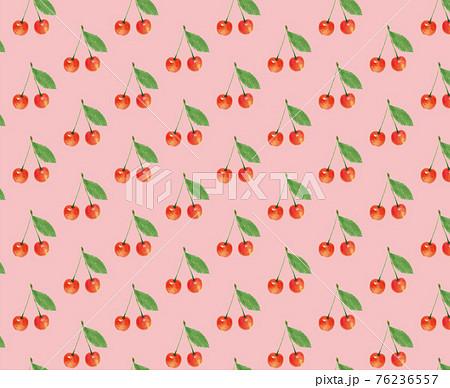 さくらんぼ サクランボ チェリー 背景 濃ピンク 手描き イラストのイラスト素材 さくらんぼ サクランボ チェリー 背景 濃ピンク 手描き イラストのイラスト素材