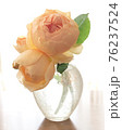 花瓶に生けたアプリコットオレンジのイングリッシュローズ 76237524