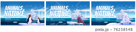 Animals in nature cartoon landing pages, banners 76238548