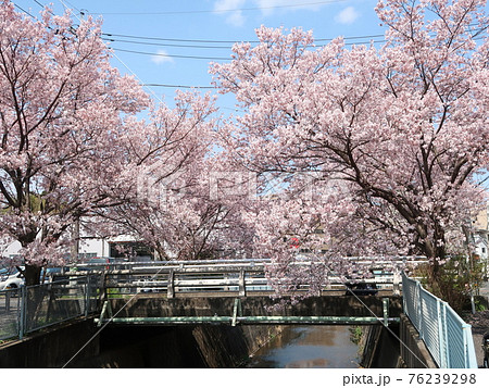 新百合ヶ丘風景 76239298