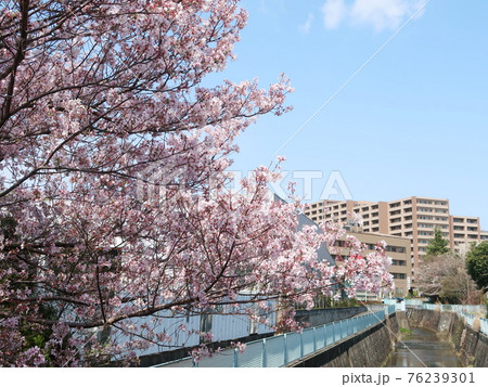 新百合ヶ丘風景 新百合ヶ丘風景 76239301