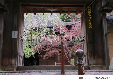 尾張徳川家の菩提寺 定光寺 尾張徳川家の菩提寺 定光寺 76239347
