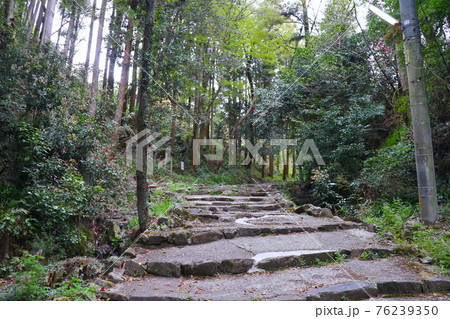 尾張徳川家の菩提寺　定光寺 76239350
