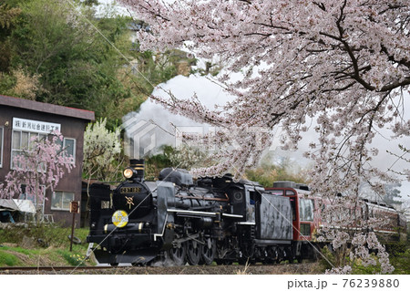 JR東日本　磐越西線　SLばんえつ物語号　令和3年春　桜満開 76239880