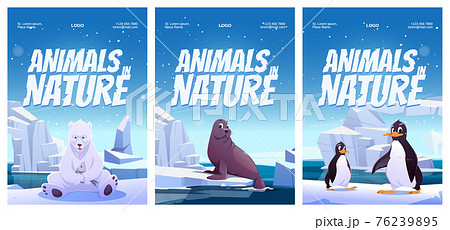 Vector posters with penguin, polar bear and seal 76239895