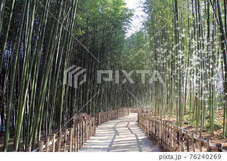 Rest in nature and walk in the park Rest in nature and walk in the park 76240269