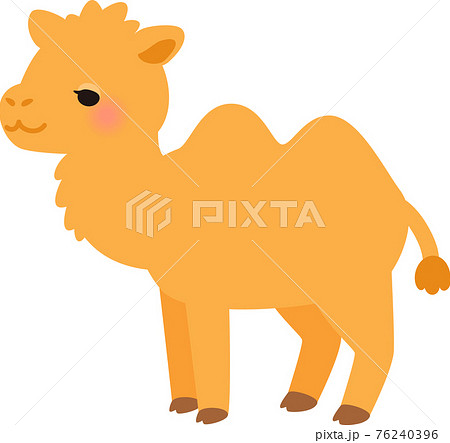 Cute Bactrian Camel Stock Illustration
