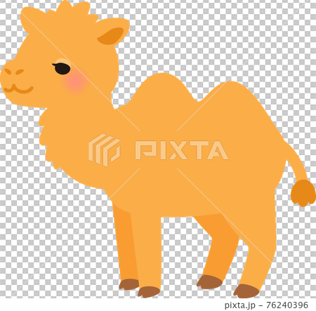 かわいいフタコブラクダ 76240396