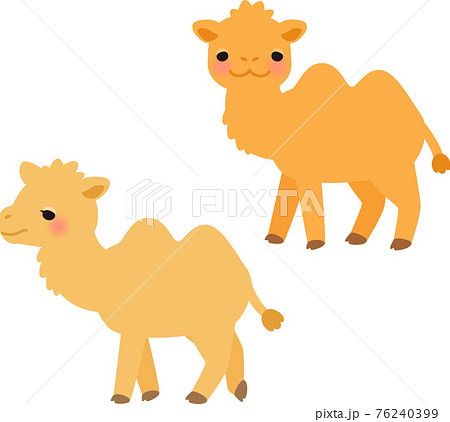 Two Walking Bactrian Camels Stock Illustration