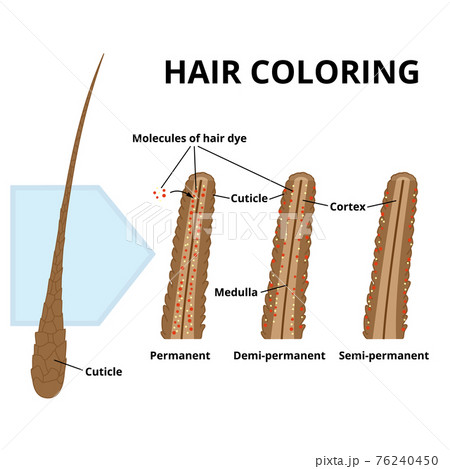 Cuticle of hair close-up 76240450