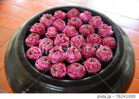 カンボジアのホテルにあった、布で作られたハスの花 76241000