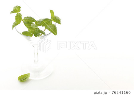 ミントとカクテルグラスを白背景で撮影 ミントとカクテルグラスを白背景で撮影 76241160