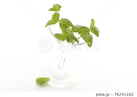 ミントとカクテルグラスを白背景で撮影 ミントとカクテルグラスを白背景で撮影 76241162