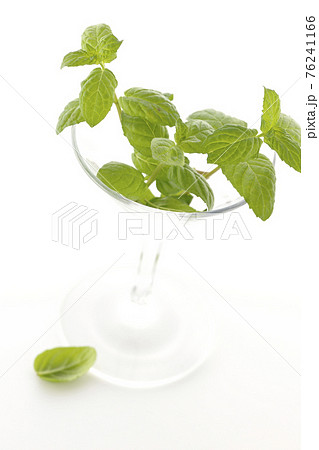 ミントとカクテルグラスを白背景で撮影 76241166