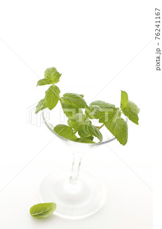 ミントとカクテルグラスを白背景で撮影 76241167