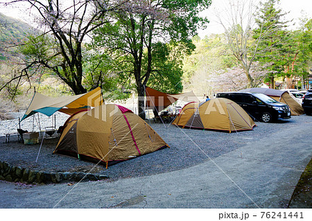春のオートキャンプ場 春のオートキャンプ場 76241441