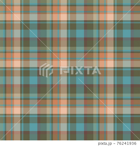 Plaid seamless pattern. Vector background of textile ornament. Flat fabric design. 76241936