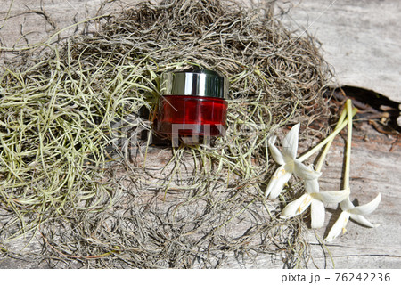 skin care cream container for the dry plant skin and diseased , a sick plant and skin care healing concept skin care cream container for the dry plant skin and diseased , a sick plant and skin care healing concept 76242236