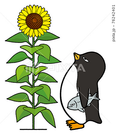 ヒマワリを眺めるペンギン 76242401