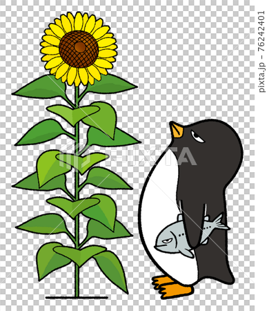 ヒマワリを眺めるペンギン 76242401