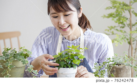 室内ガーデニングを楽しむ笑顔の女性 の写真素材 室内ガーデニングを楽しむ笑顔の女性 の写真素材