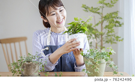 室内ガーデニングを楽しむ笑顔の女性 室内ガーデニングを楽しむ笑顔の女性 76242490