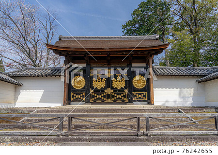 醍醐寺 76242655