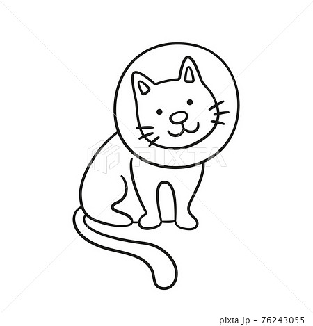 Cat with a neck brace doodle icon. Sick cat with medical collar. Hand drawn isolated vector illustration Cat with a neck brace doodle icon. Sick cat with medical collar. Hand drawn isolated vector illustration 76243055