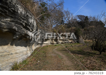 鎌倉の地層 76243319