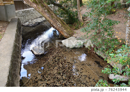 泉神社へ行きました  #17 泉神社へ行きました  #17 76243944