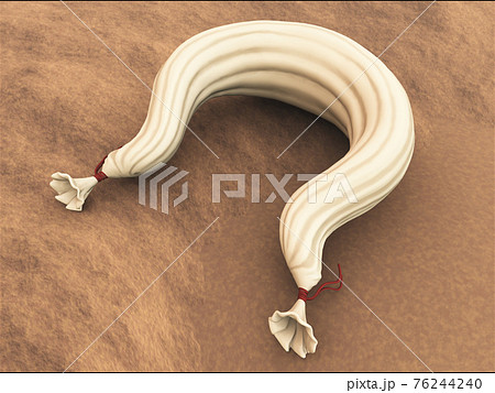 風袋 風袋 76244240