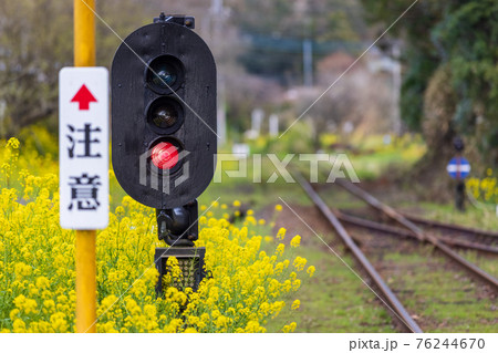 赤を表示している電車用信号機、周囲に菜の花 赤を表示している電車用信号機、周囲に菜の花 76244670