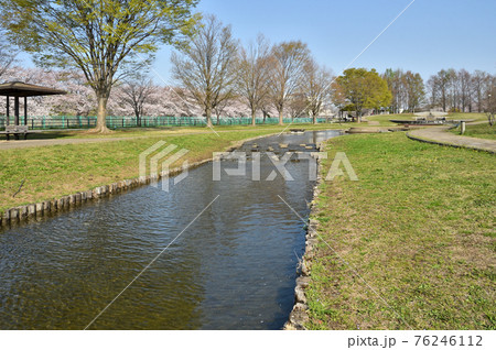 見沼田圃：七里総合公園 76246112