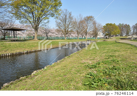 見沼田圃：七里総合公園 76246114